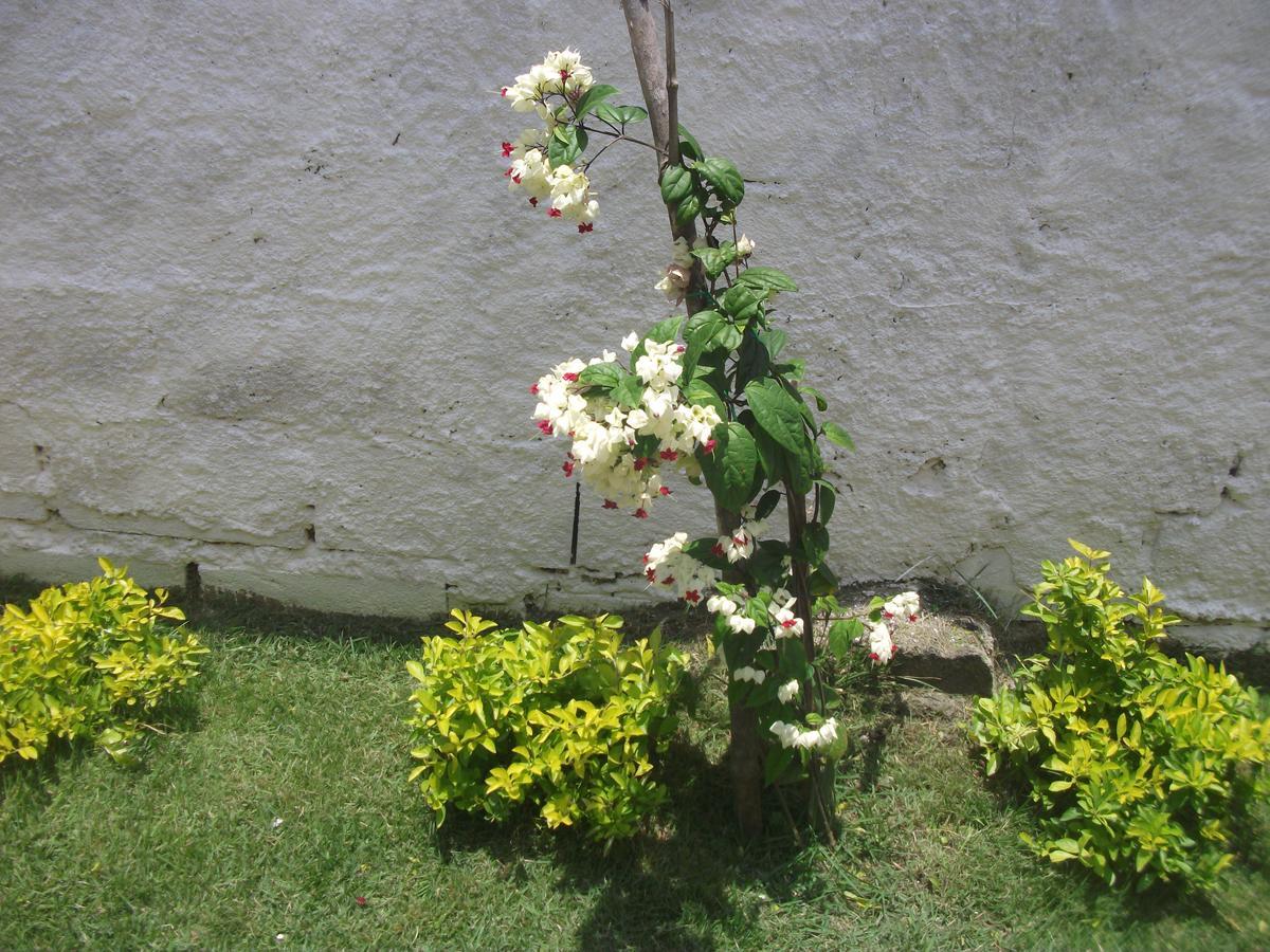 公寓 Casa Do Gilberto